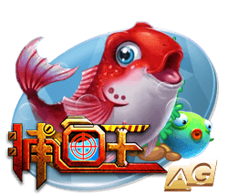 看球app网页版